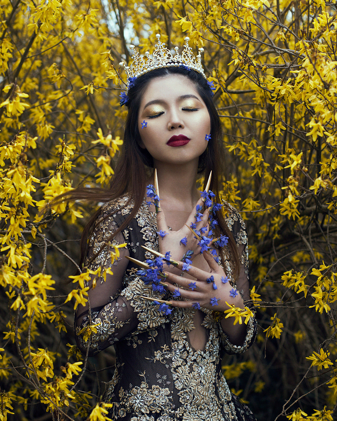 Spark Your Creativity | Lightroom Profiles, Photoshop Actions