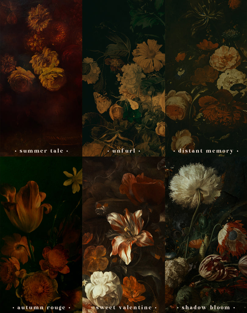 Digital Backdrop Collection Digital Backdrops Collections for Photoshop – onlythecurious